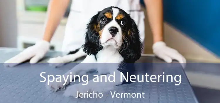 Spaying and Neutering Jericho - Vermont