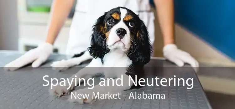Spaying and Neutering New Market - Alabama