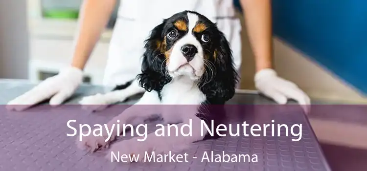 Spaying and Neutering New Market - Alabama