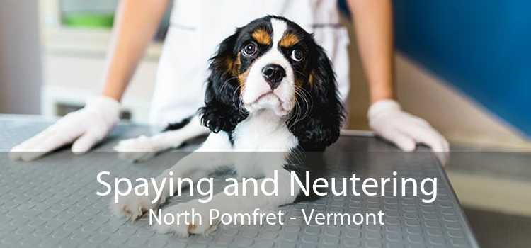 Spaying and Neutering North Pomfret - Vermont