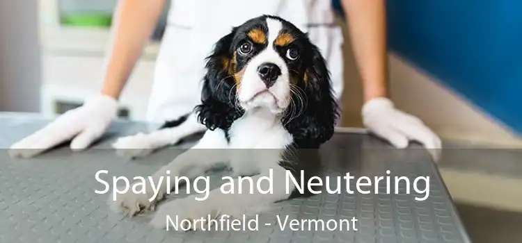 Spaying and Neutering Northfield - Vermont