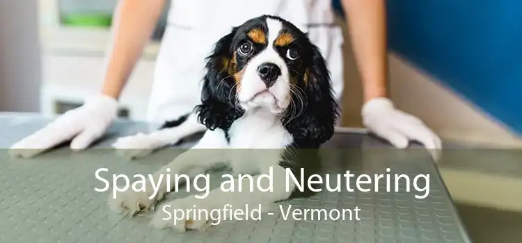 Spaying and Neutering Springfield - Vermont