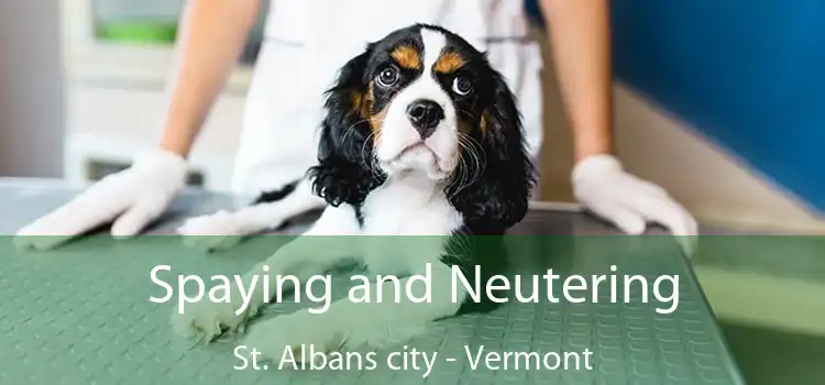 Spaying and Neutering St. Albans city - Vermont