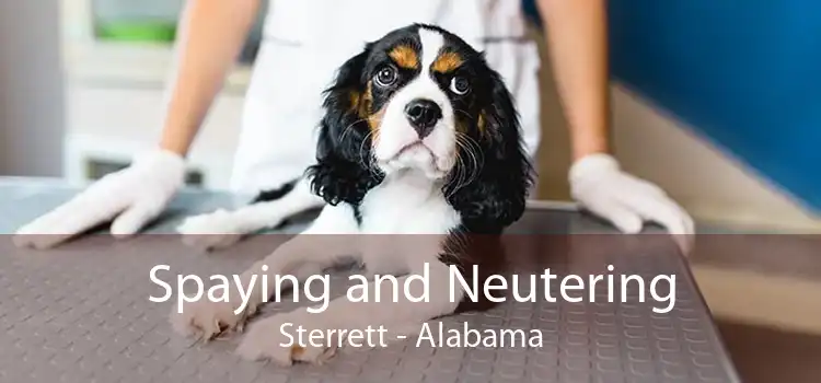 Spaying and Neutering Sterrett - Alabama
