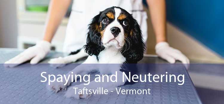 Spaying and Neutering Taftsville - Vermont