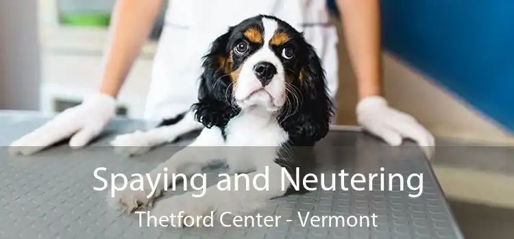 Spaying and Neutering Thetford Center - Vermont