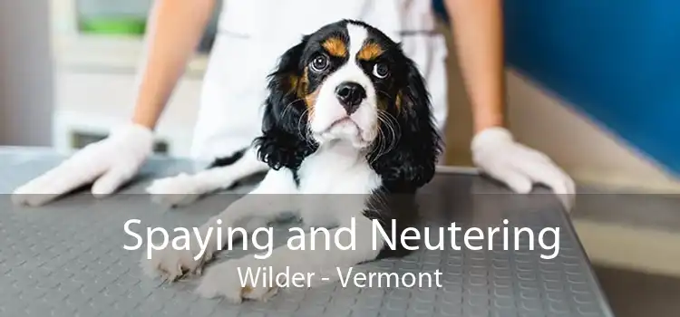 Spaying and Neutering Wilder - Vermont
