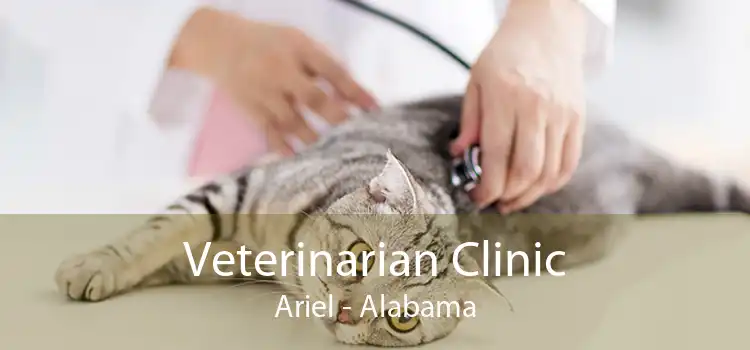 Veterinarian Clinic Ariel - Alabama