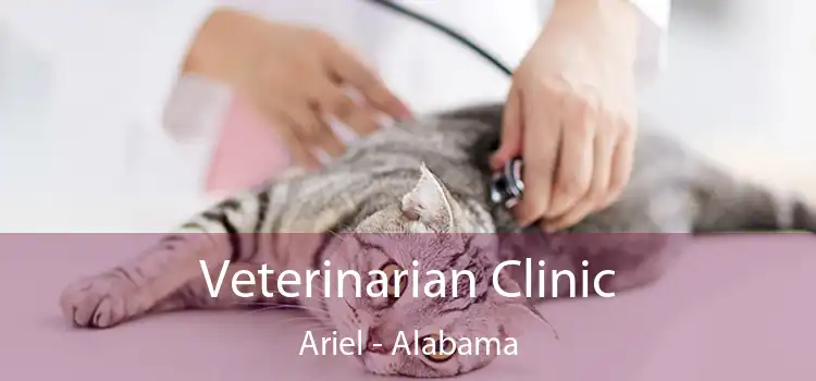 Veterinarian Clinic Ariel - Alabama