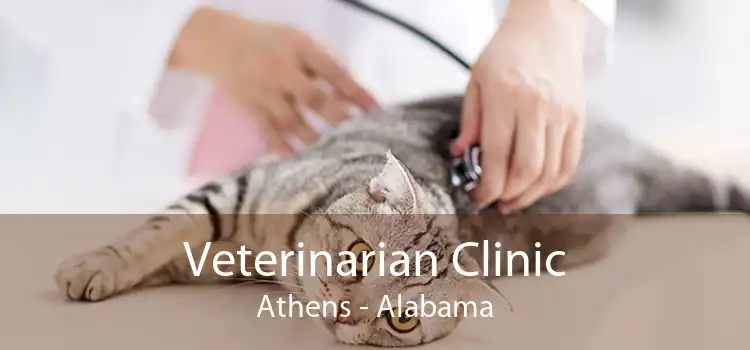 Veterinarian Clinic Athens - Alabama
