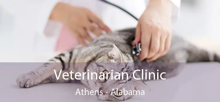 Veterinarian Clinic Athens - Alabama