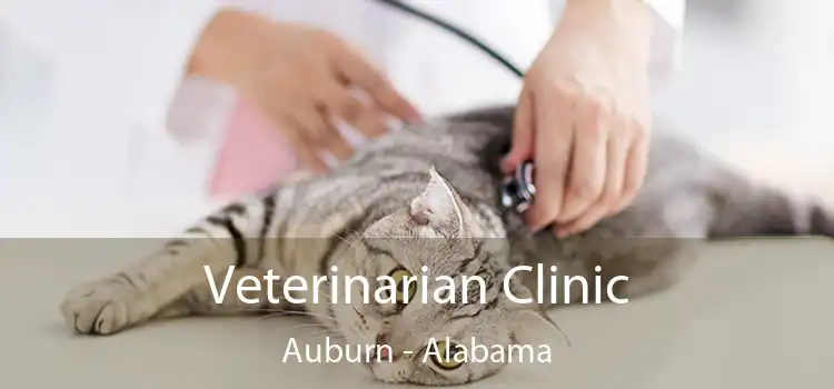 Veterinarian Clinic Auburn - Alabama