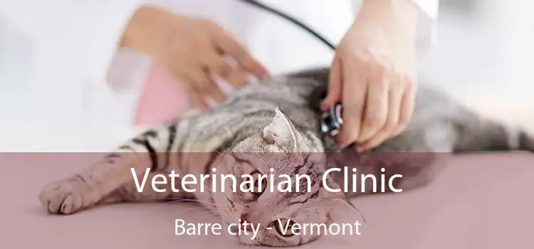 Veterinarian Clinic Barre city - Vermont