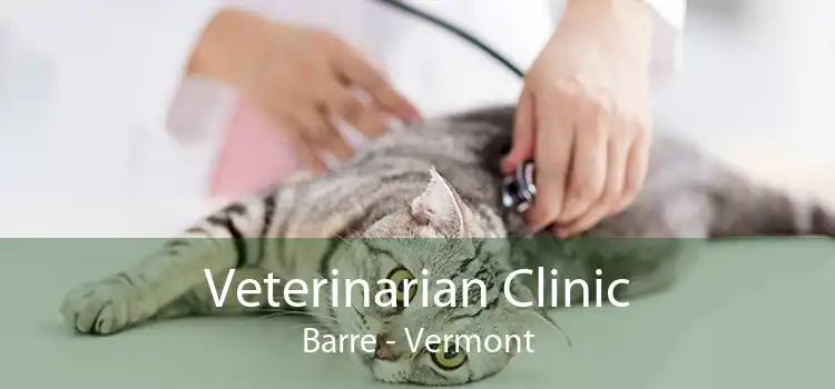 Veterinarian Clinic Barre - Vermont