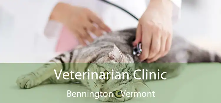 Veterinarian Clinic Bennington - Vermont