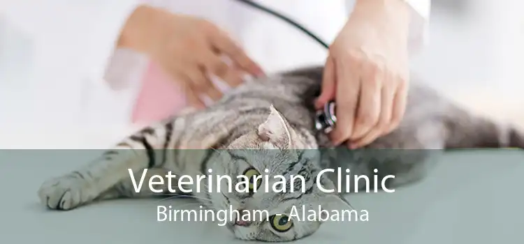 Veterinarian Clinic Birmingham - Alabama