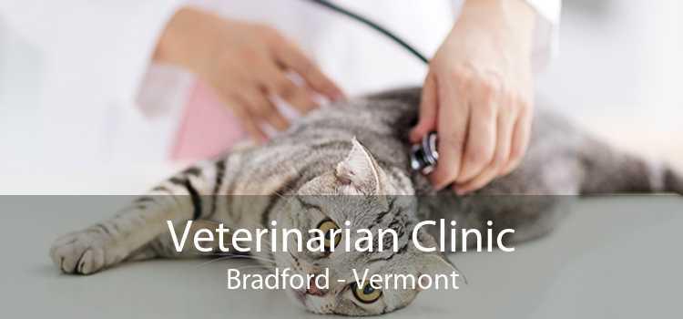 Veterinarian Clinic Bradford - Vermont