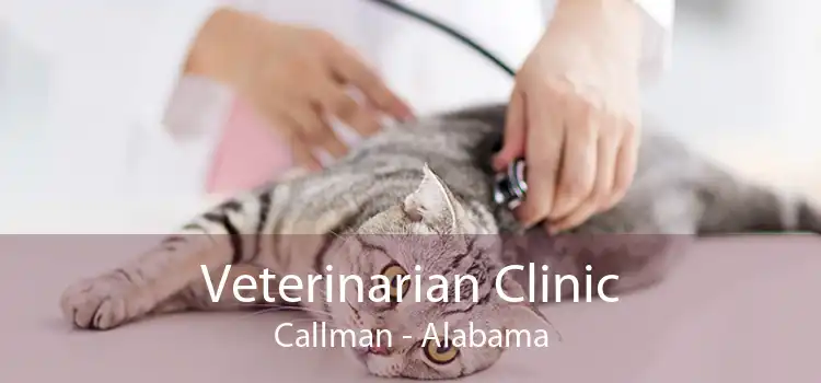 Veterinarian Clinic Callman - Alabama