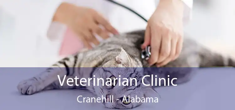 Veterinarian Clinic Cranehill - Alabama