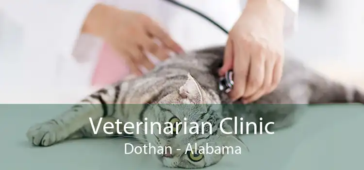 Veterinarian Clinic Dothan - Alabama