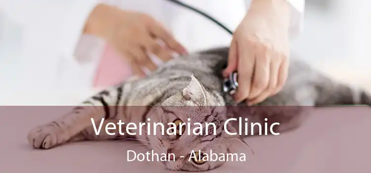 Veterinarian Clinic Dothan - Alabama