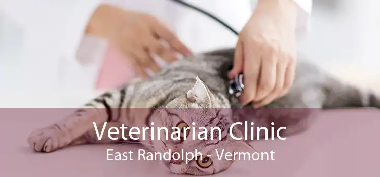 Veterinarian Clinic East Randolph - Vermont