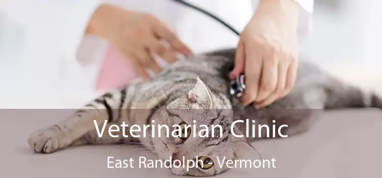 Veterinarian Clinic East Randolph - Vermont