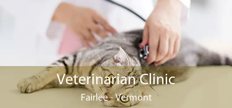 Veterinarian Clinic Fairlee - Vermont