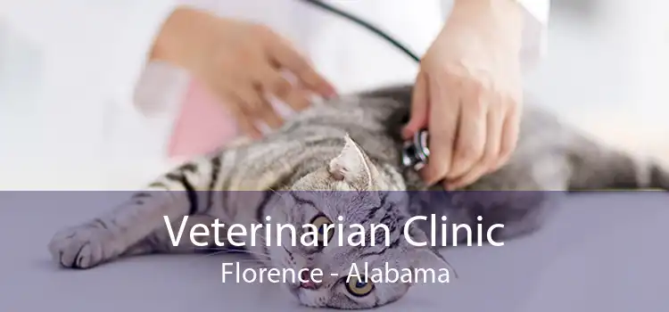 Veterinarian Clinic Florence - Alabama