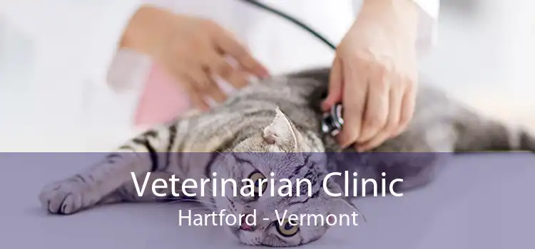Veterinarian Clinic Hartford - Vermont
