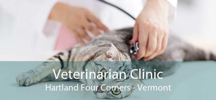 Veterinarian Clinic Hartland Four Corners - Vermont