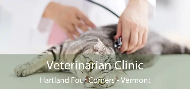 Veterinarian Clinic Hartland Four Corners - Vermont