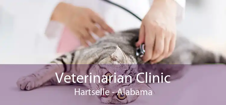 Veterinarian Clinic Hartselle - Alabama