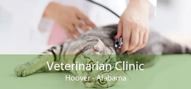 Veterinarian Clinic Hoover - Alabama