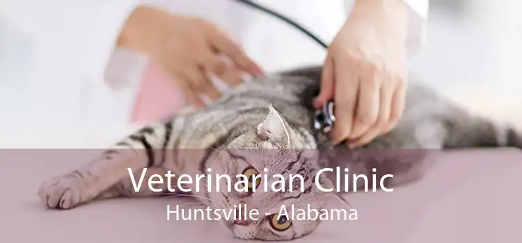 Veterinarian Clinic Huntsville - Alabama