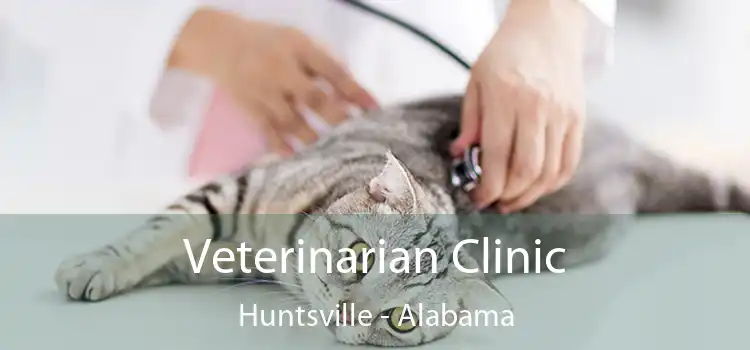 Veterinarian Clinic Huntsville - Alabama