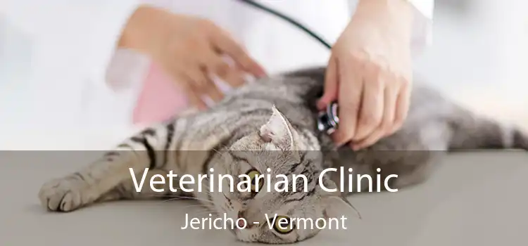Veterinarian Clinic Jericho - Vermont