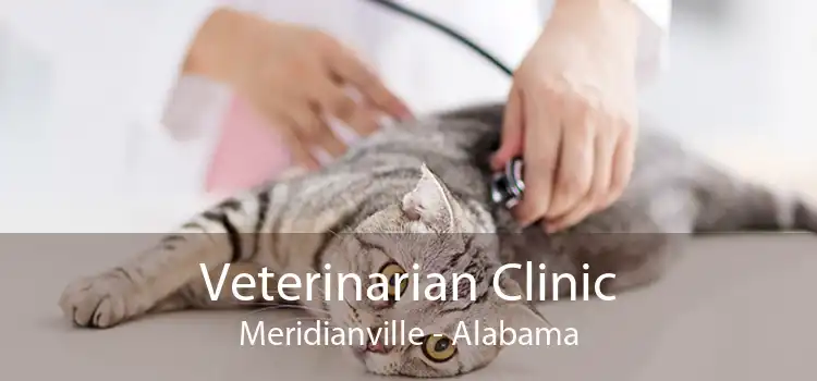 Veterinarian Clinic Meridianville - Alabama