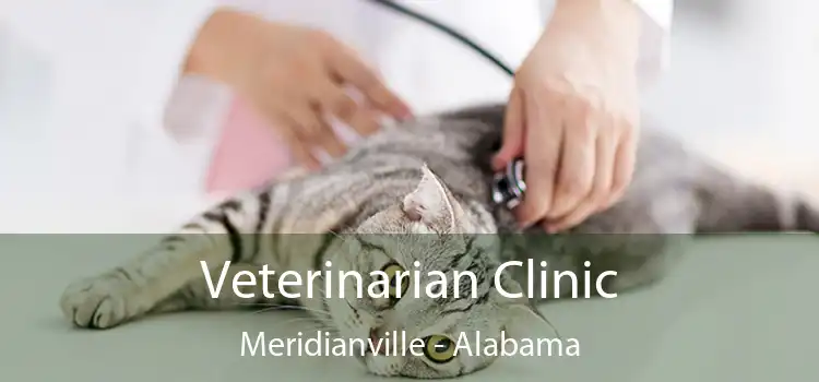 Veterinarian Clinic Meridianville - Alabama