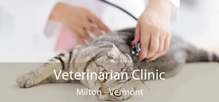 Veterinarian Clinic Milton - Vermont