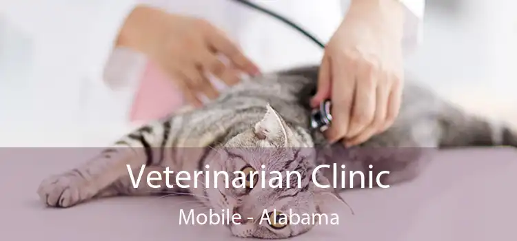 Veterinarian Clinic Mobile - Alabama