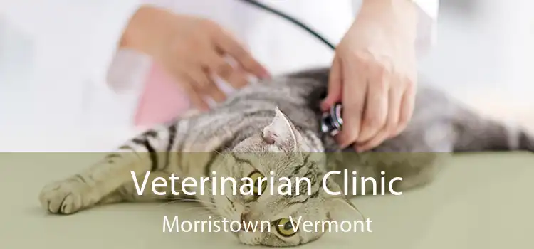 Veterinarian Clinic Morristown - Vermont