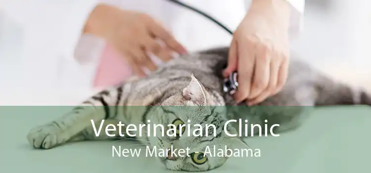 Veterinarian Clinic New Market - Alabama