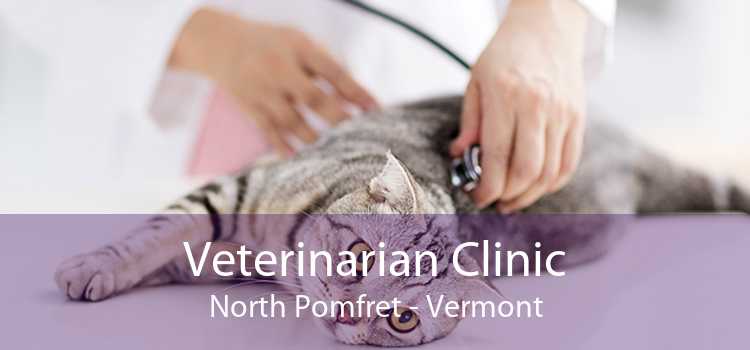 Veterinarian Clinic North Pomfret - Vermont