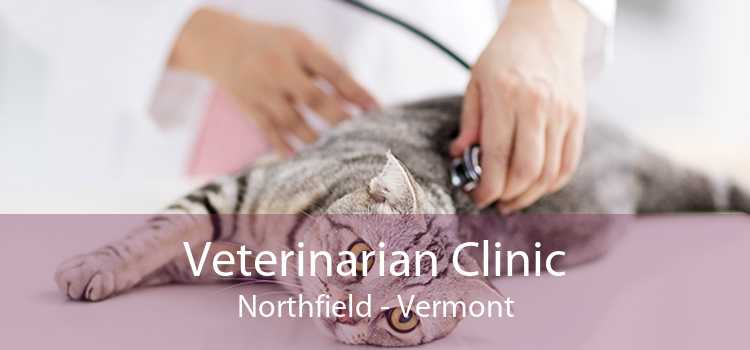 Veterinarian Clinic Northfield - Vermont