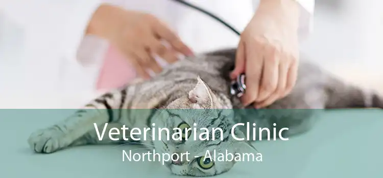 Veterinarian Clinic Northport - Alabama