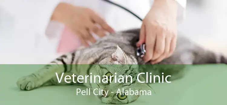 Veterinarian Clinic Pell City - Alabama