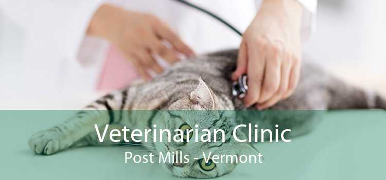 Veterinarian Clinic Post Mills - Vermont