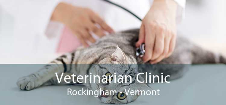 Veterinarian Clinic Rockingham - Vermont