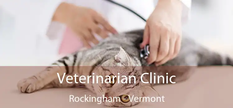 Veterinarian Clinic Rockingham - Vermont